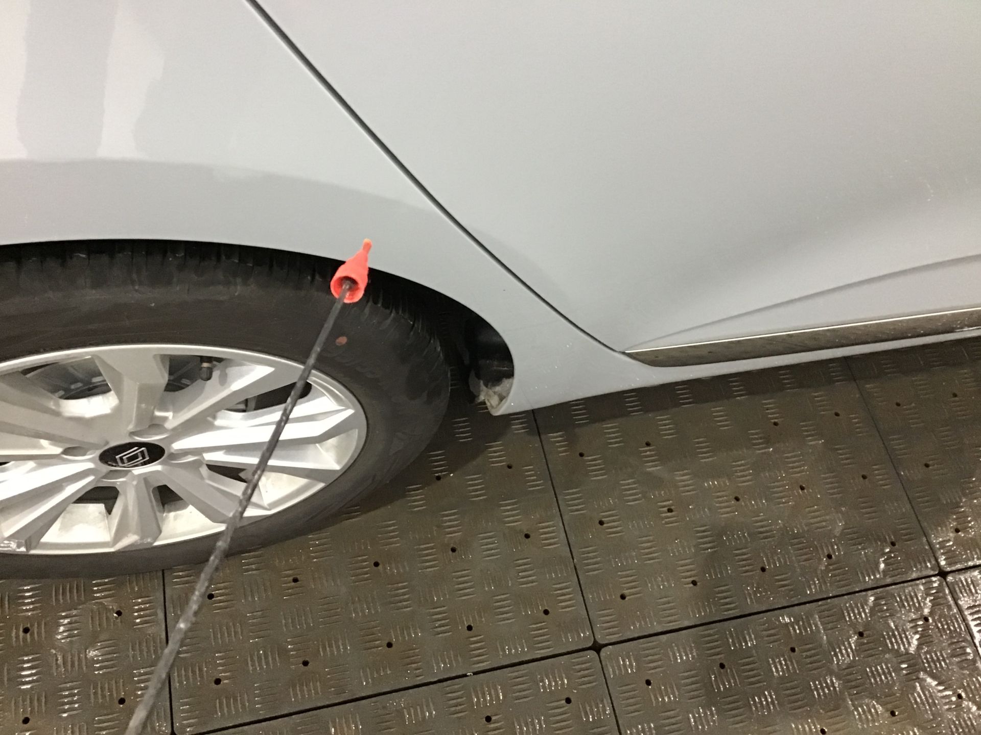 Aile arrière droite