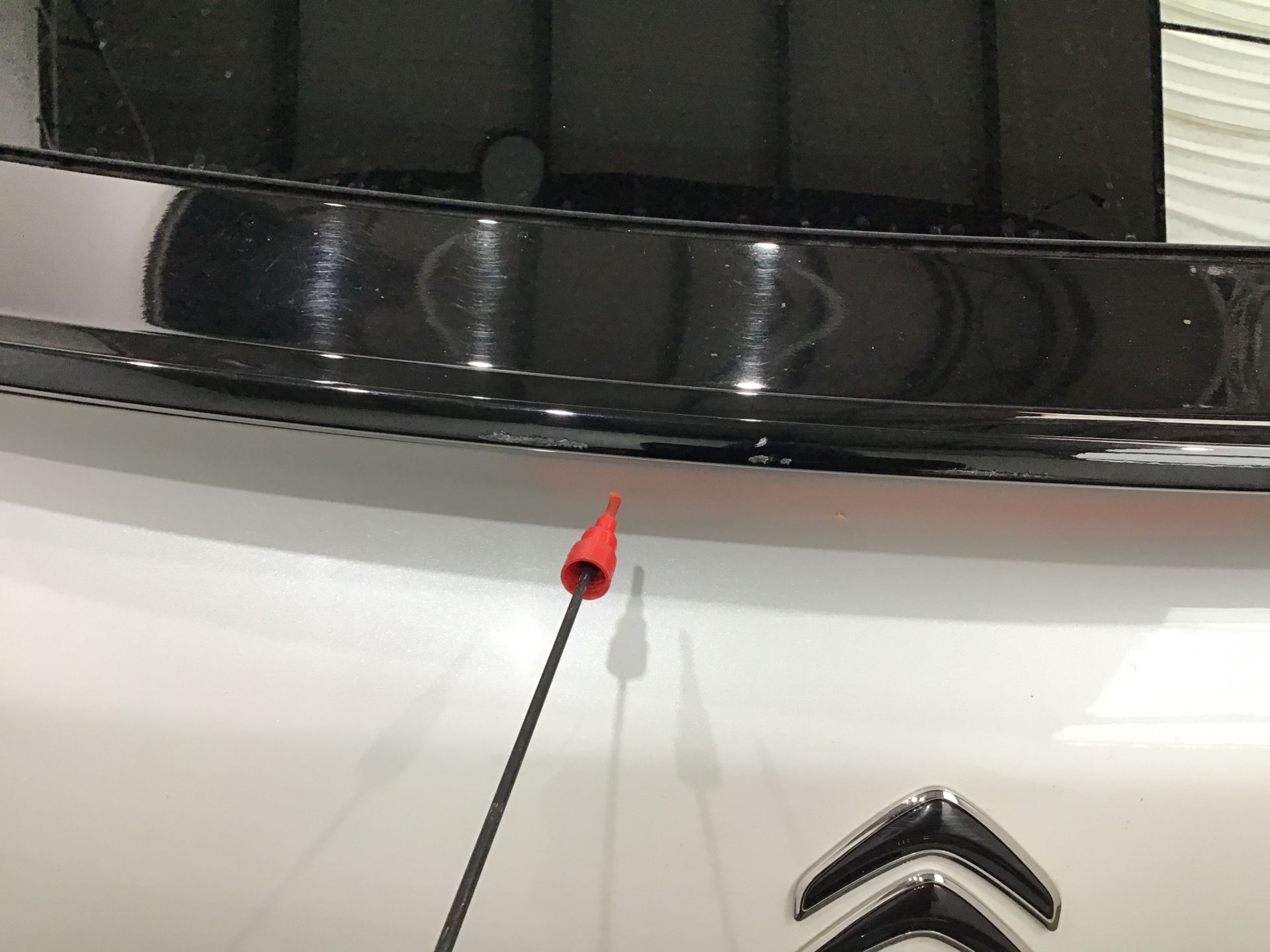 Capot arrière/hayon