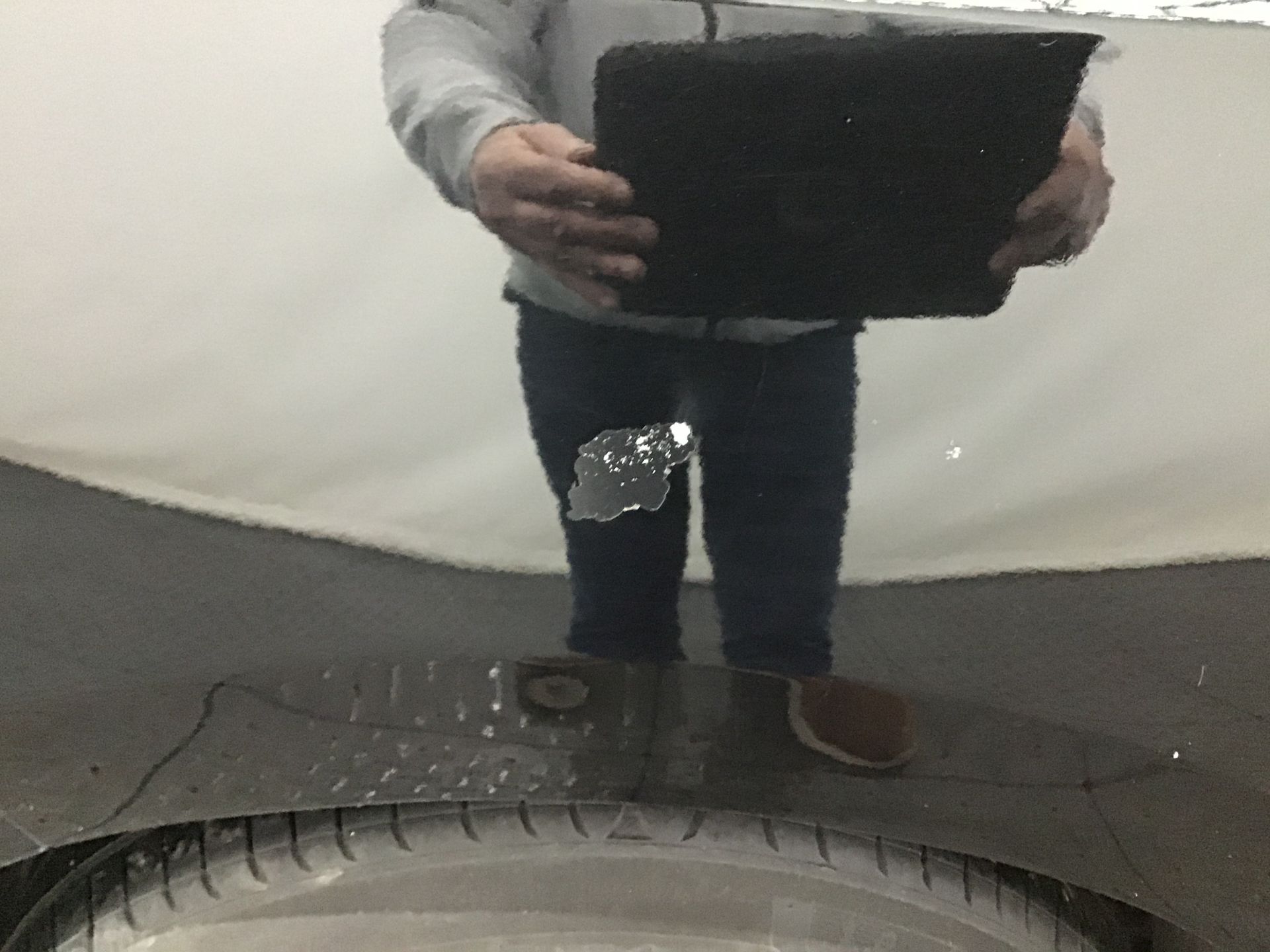 Aile arrière droite