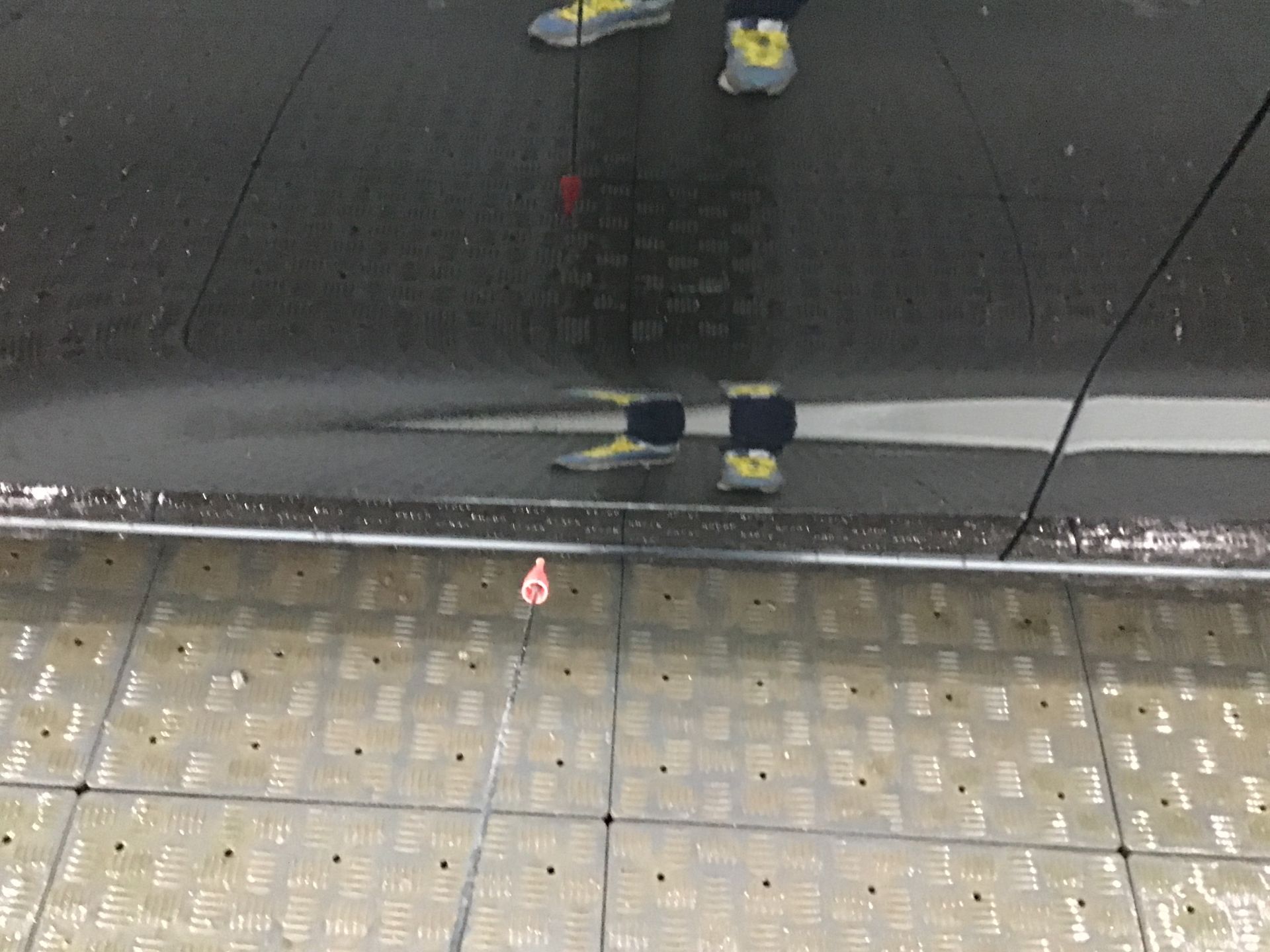 Porte avant gauche